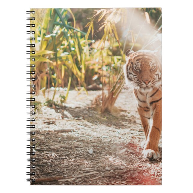 BROWN TIGER I WALKING GESTURE ANTECKNINGSBOK (Framsidan)