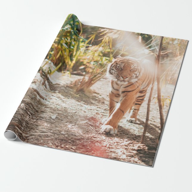 BROWN TIGER IN WALKING GESTURE PRESENTPAPPER (Utrullad)