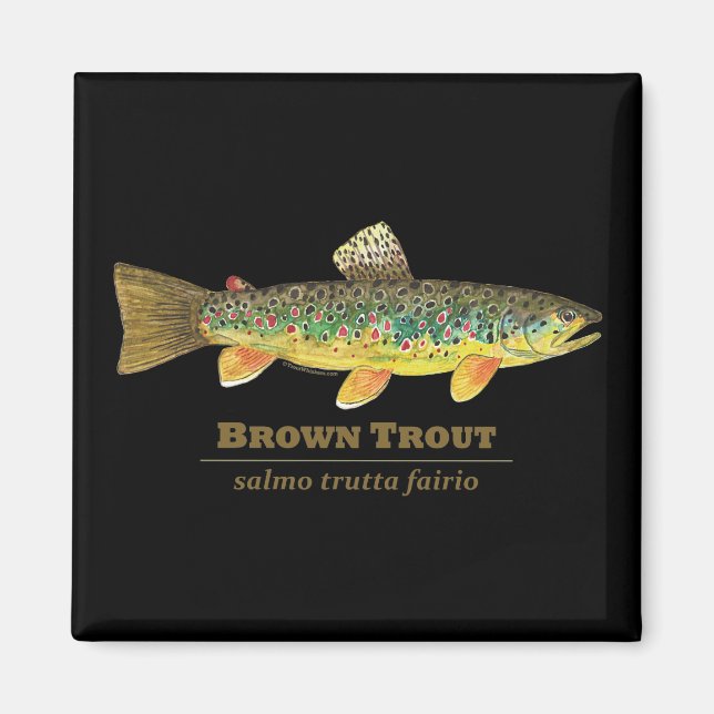 Brown Trout Latin Ichthyology Magnet (Framsidan)