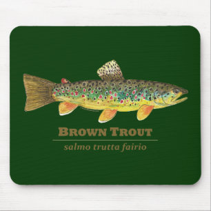 Brown Trout Latin Ichthyology Musmatta
