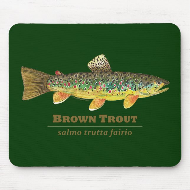 Brown Trout Latin Ichthyology Musmatta (Framsidan)