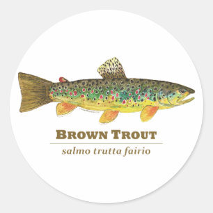 Brown Trout Latin Ichthyology Runt Klistermärke