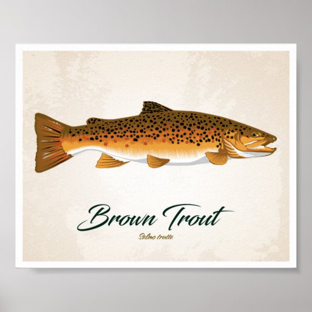 Brown Trout Poster (Framsidan)