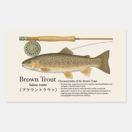Brown Trout (Salmo trutta) – English Illust Rektangulärt Klistermärke