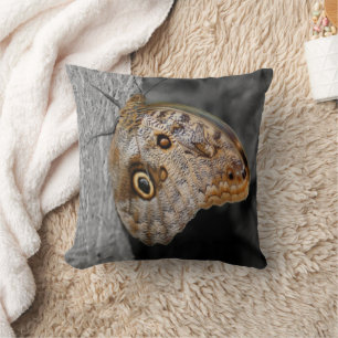 Brown Uggla Butterfly Nature Kudde