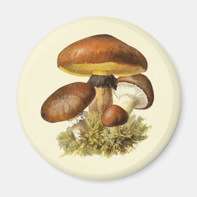 Brown Vintage Mushroom Magnet (Framsidan)