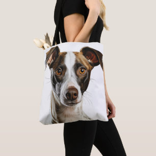 BROWN & WHITE BEAUTIFUL GREYHOUND HUND TYGKASSE