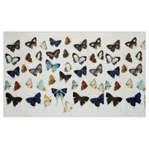 BROWN WHITE BLUE BUTTERFLIES Beauty Nature Älskare Tyg
