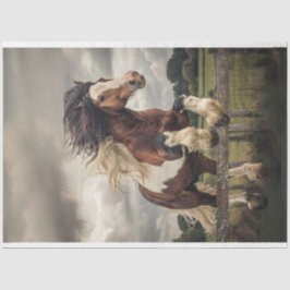 Brown White Clydesdale Horse Decoupage