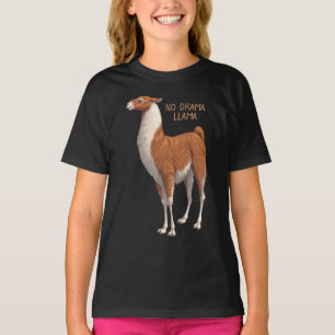 Brown & White No Drama Llama T Shirt