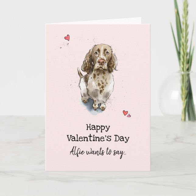 Brown & white Springer Spain hund Valentine's day Kort (Framsida)