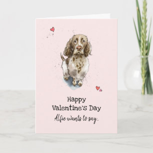 Brown & white Springer Spain hund Valentine's day Kort
