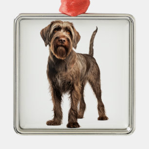 BROWN WIREHAIRED POINTING GRIFFON HUND JULGRANSPRYDNAD METALL