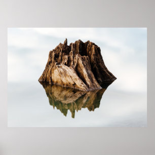 BROWN WOODEN RAM POSTER