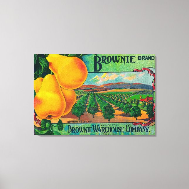 Brownie Pear Låda LabelCashmere, WA Canvastryck (Framsida)