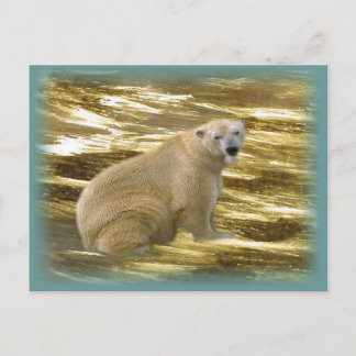 Brr.....vykort Vykort