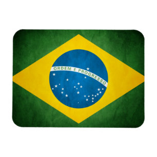 Brsil flaggamagnet magnet