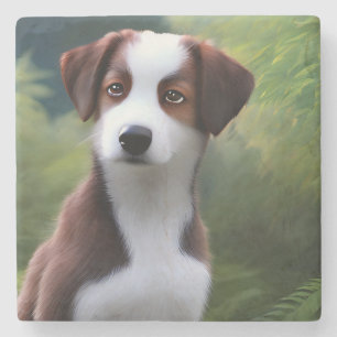 Bruce Gräns Collie Puppy, Stone Underlägg