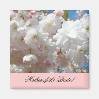 Brudens mor magneter Blossom Blommor Rosa