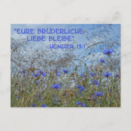 Brüderliche Liebe Vykort