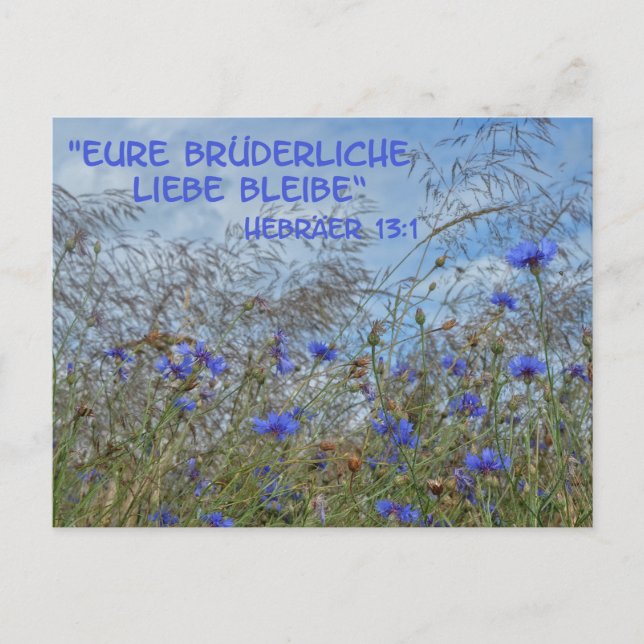 Brüderliche Liebe Vykort (Framsida)
