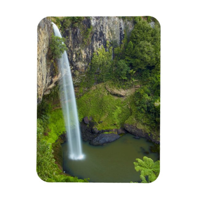Brudslöjans fall, Nya Zeeland Magnet (Vertikal)