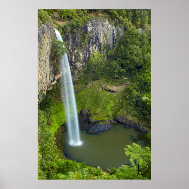Brudslöjans fall, Nya Zeeland Poster (Framsidan)