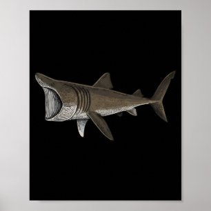 Brugd Poster