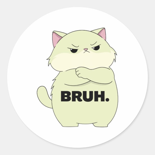Bruh Kitty Klistermärke (Framsida)