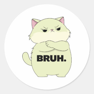 Bruh Kitty Runt Klistermärke