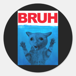 Bruh-meme rolig fras bror hälsning tonåringar pojk runt klistermärke