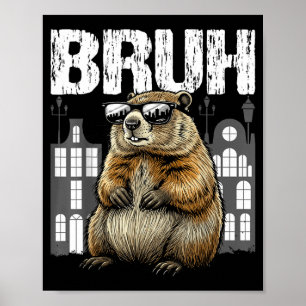 Bruh Murmeldjuret Jorda Ground-hog Day Roligt Poster