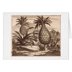 Bruka stora ananas, illustration från en desc hälsningskort