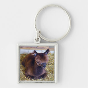Brun Alpaca Fyrkantig Silverfärgad Nyckelring