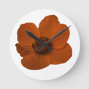 Brun anemone-väggklocka rund klocka