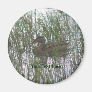 Brun Anka-naturfotografi Magnet