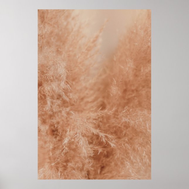 Brun bakgrund poster (Framsidan)