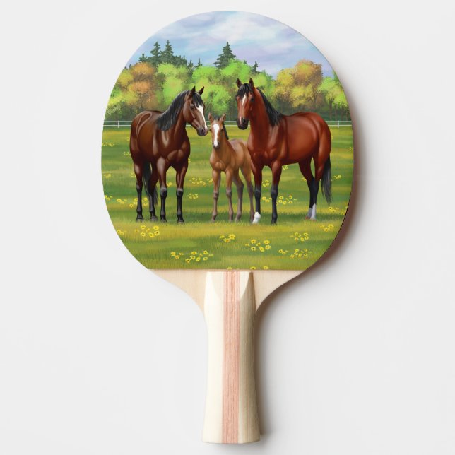 Brun Bay-kvartershöns under sommarbetesgång Pingisracket (Framsidan)