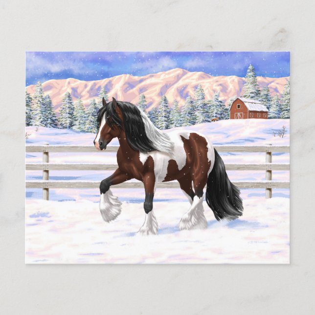 Brun Bay Pinto Gypsy Vanner Draft Horse i Snö (Framsida)