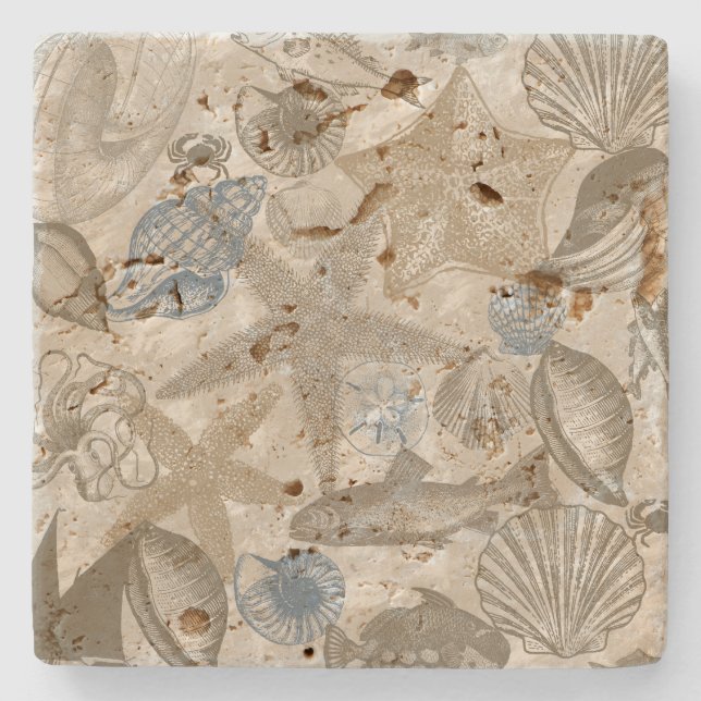 Brun Beach Blue-Snäckor Ocean Stenunderlägg (Framsidan)