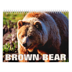 Brun björn 2022-väggskalender kalender