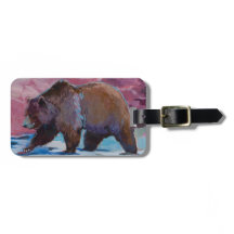 Brun björn i Utah som går vid stenarna