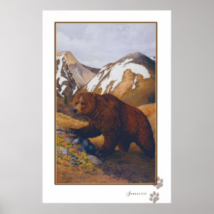 brun björnaffisch poster
