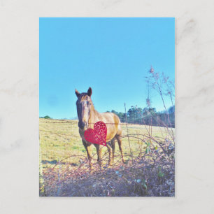 Brun blåfärgad horse Red Heart Vykort