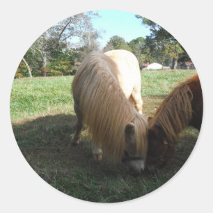 Brun blond, "Miniature Horses"Two Little Ponies" Runt Klistermärke