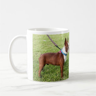 Brun Boston Terriermugg Kaffemugg