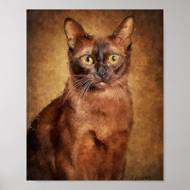 Brun Burmesisk Katt Poster (Framsidan)