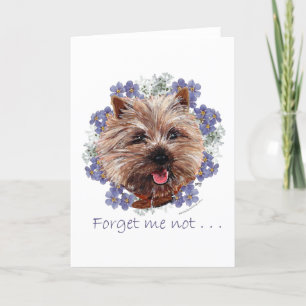 Brun Cairn Terrier Förgätmigej Kort