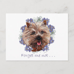 Brun Cairn Terrier Förgätmigej Vykort