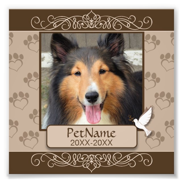 Brun calligraf Swirls Anpassningsbar Set Sympathy Fototryck (Framsidan)